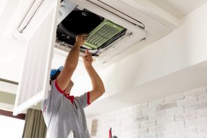 z3723617520327_58707cc36d22f3404bf9028c511a955c-300x200-1 z3723617520327 58707cc36d22f3404bf9028c511a955c 300x200 1