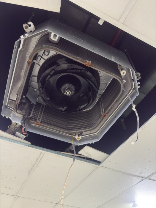 Z7060028753016 8e76bbc5efb42b81a38a861fd6636faa