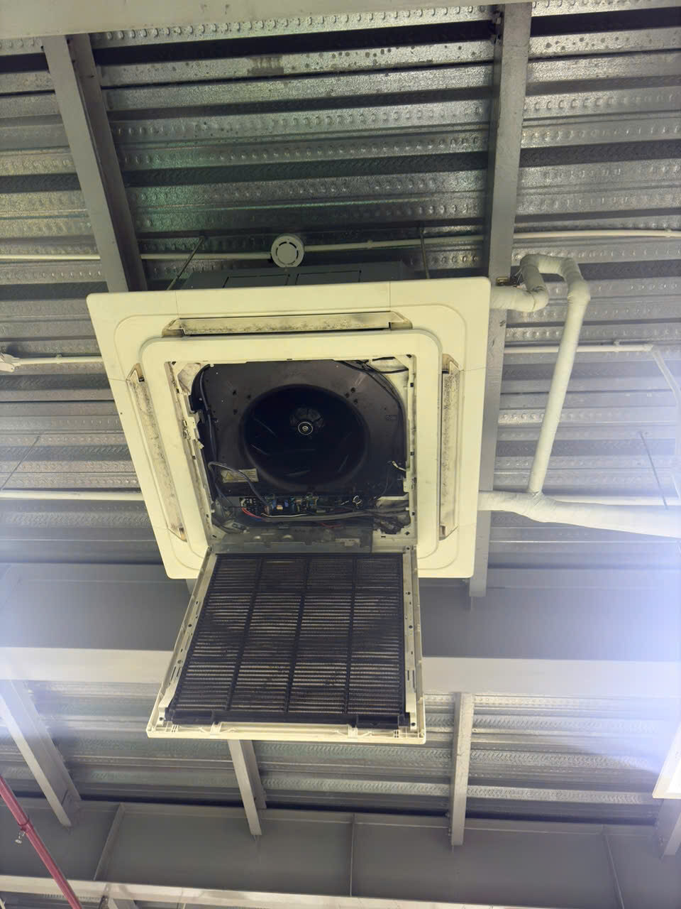 Z6711903938366 1cbc2d6b6774b636f1efd6506c95e32b