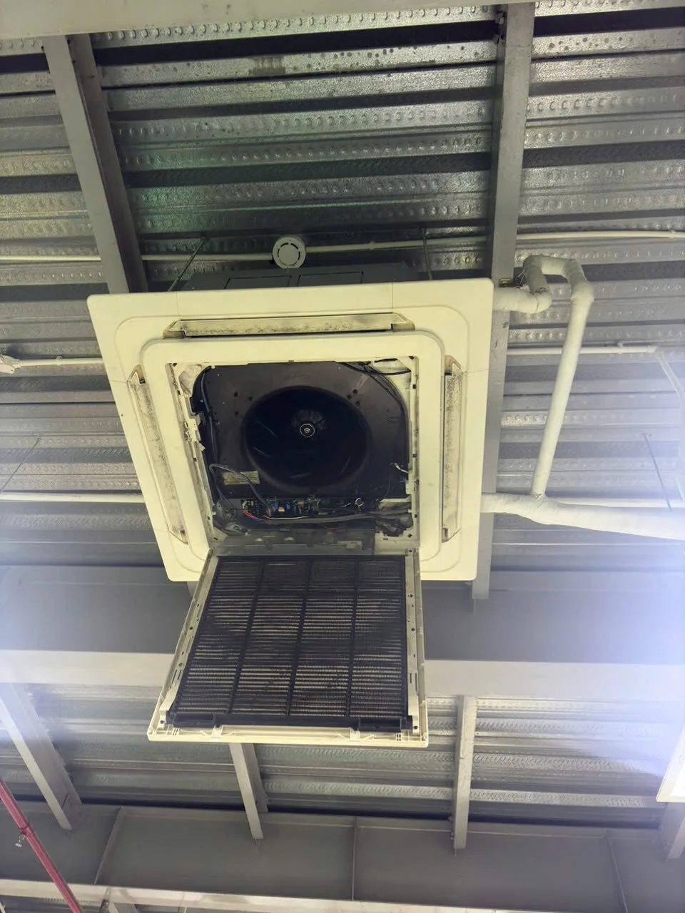 Z6711903938366 1cbc2d6b6774b636f1efd6506c95e32b